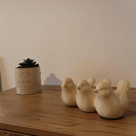 Apartment T2 Cosy Hyper Centre Proche Aeroport Et Gare Sncf Beauvais