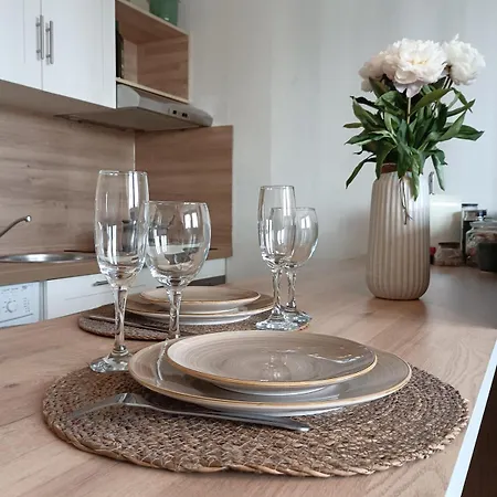 Cosy A Hyper Centre Proche Aeroport Et Gare Sncf Apartment